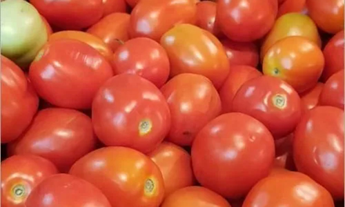 இந்தியாவில் இருந்து காய்கறி இறக்குமதி செய்ய பாகிஸ்தான் விருப்பம்