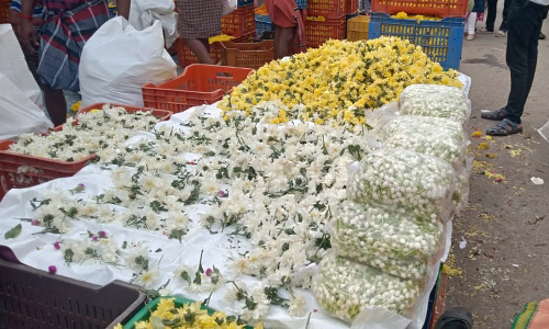 குமரி மாவட்டம் முழுவதும் விநாயகர் சதுர்த்தி வழிபாட்டு பொருட்கள் விற்பனை தீவிரம் - பழம், பூக்கள் விலை அதிகரிப்பு