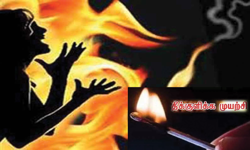 ஆரணி உதவி கலெக்டர் அலுவலகத்தில் பெண்கள் தீக்குளிக்க முயற்சி