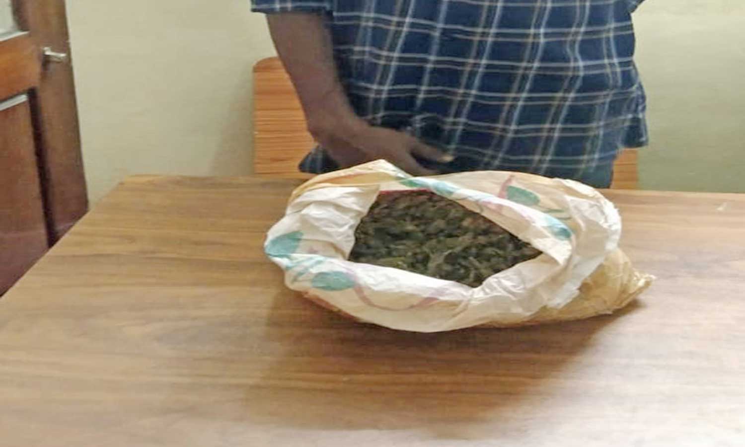 புதுக்கடை அருகே போதை மாத்திரைகளுடன் 2 வாலிபர்கள் கைது புதுக்கடை அருகே போதை மாத்திரைகளுடன் 2 வாலிபர்கள் கைது