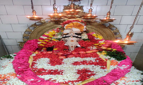 கன்னியாகுமரி விவேகானந்தபுரம் ஏகாட்சர மகாகணபதிக்கு 14 வகையான மலர்களால் புஷ்பாபிஷேகம்