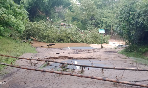 ஆசனூர்-கொள்ளேகால் சாலையில் தரை பாலத்தை மூழ்கடித்த வெள்ளம்