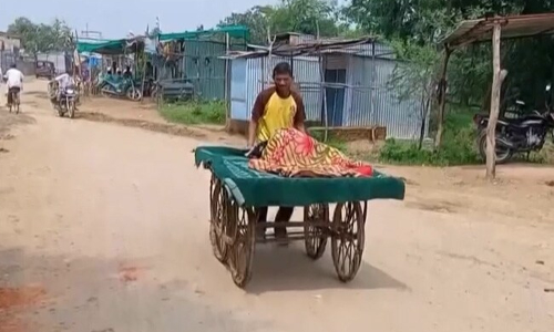 ஆம்புலன்ஸ் வராததால் கர்ப்பிணியை தள்ளுவண்டியில் ஆஸ்பத்திரிக்கு கொண்டு சென்ற கணவர்