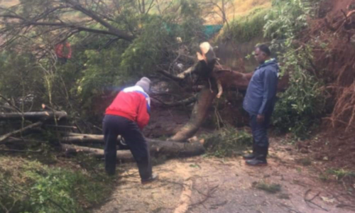 நீலகிரியில் கொட்டி தீர்த்த மழை: குன்னூர்-மேட்டுப்பாளையம் சாலையில் 6 இடங்களில் மண்சரிவு
