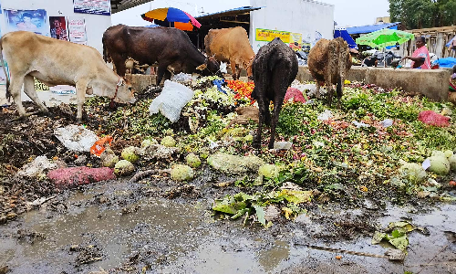 காந்தி மார்க்கெட் அருகே சாலையில் கொட்டப்படும் காய்கறி கழிவுகளால் சுகாதார சீர்கேடு
