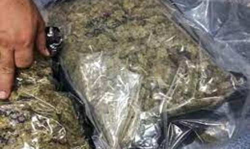 கஞ்சா விற்ற வாலிபர் கைது