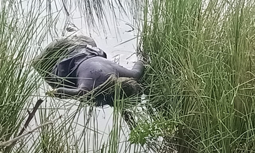 உளுந்தூர்பேட்டை அருகே ஏரியில் மிதந்த பெண் கற்பழித்து  லையா?   போலீசார் விசாரணை