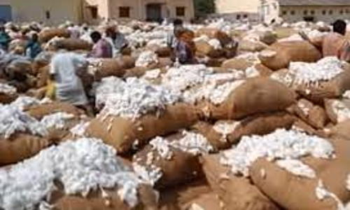 கோவையில் பஞ்சு விலை திடீர் அதிகரிப்பு