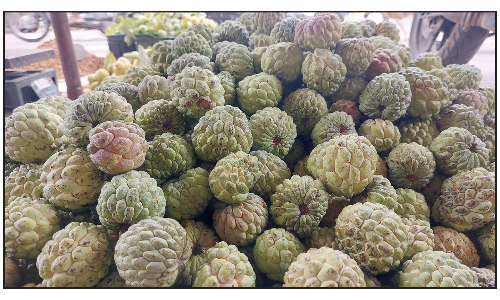 சீசன் தொடங்கியது:  தருமபுரி நகரப் பகுதியில் சீத்தாப்பழம் விற்பனை அமோகம்   கிலோ ரூ.40-க்கு விற்கப்படுகிறது