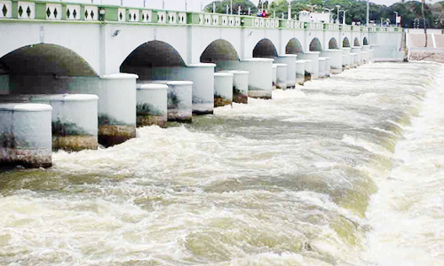 தஞ்சை கல்லணை கால்வாயில் பெருக்கெடுத்து ஓடும் காவிரி நீர்