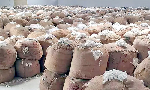 திருவாரூரில் ஒரு குவிண்டால் பருத்தி ரூ.9,839-க்கு ஏலம்