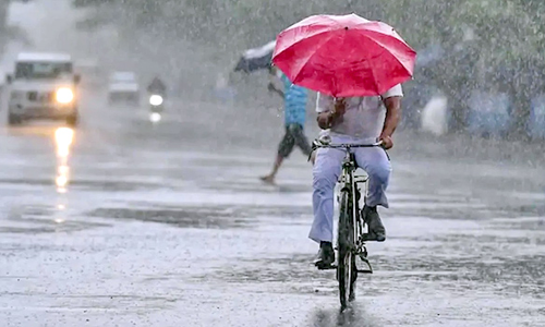 திருவாரூர் மாவட்ட பகுதிகளில் பரவலாக மழை