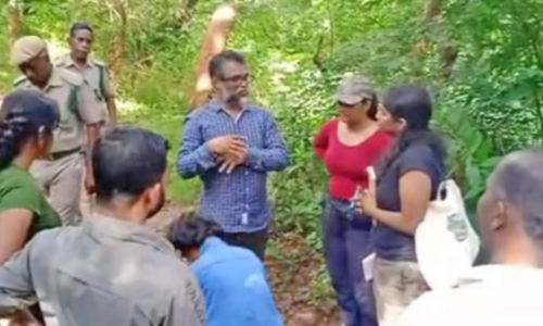 நத்தம் அருகே ஊருக்குள் புகுந்த ராட்சத எறும்புகளால் விவசாயிகள் அதிர்ச்சி- விஞ்ஞானிகள், ஆராய்ச்சி மாணவர்கள் ஆய்வு