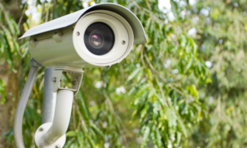 அய்யனார் கோவில் வனப்பகுதியில் கண்காணிப்பு கேமராக்கள் திருட்டு- மர்ம நபர்களுக்கு போலீசார் வலைவீச்சு