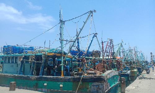 டீசல் விலை அதிகரிப்பு- காசிமேடு துறைமுகத்தில் 70 சதவீத படகுகள் கடலுக்குள் செல்லவில்லை