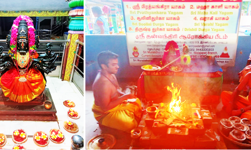 பஞ்சமுஹ வராஹி அம்மனுக்கு சிறப்பு ஹோமம்