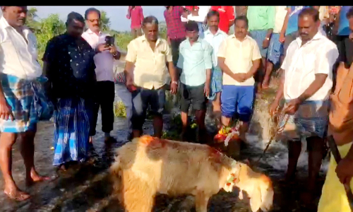 29 ஆண்டுகளுக்கு பிறகு கந்திலி ஏரி நிரம்பியது