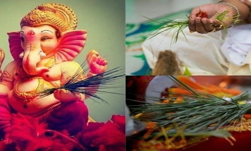 இன்று தூர்வாஷ்டமி... அருகம்புல்லை வழிபட்டால் தீரும் பிரச்சனைகள்..