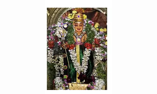 தண்டாயுதபாணி கோவிலில் சிறப்பு பூஜை