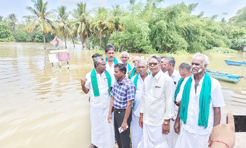 வெள்ளத்தால் பாதித்த தோட்ட பயிர்களுக்கு நிவாரணம் வழங்க வேண்டும்- பி.ஆர்.பாண்டியன்