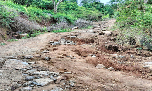 பாலமலை ஊராட்சிக்கு செல்லும் மண் சாலை சேதம்; போக்குவரத்து பாதிப்பு