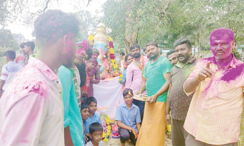 ஏற்காடு படகு இல்ல ஏரியில்   விநாயகர் சிலை கரைப்பு