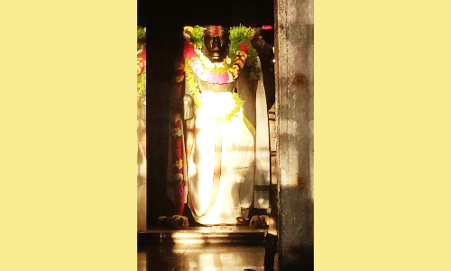 குடியாத்தம் மீனூர் வெங்கடேச பெருமாள் கோவிலில் மூலவர் மீது சூரிய ஒளி விழும் அதிசயம்