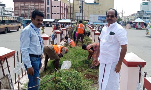 சிறப்பு தூய்மை பணி முகாம்