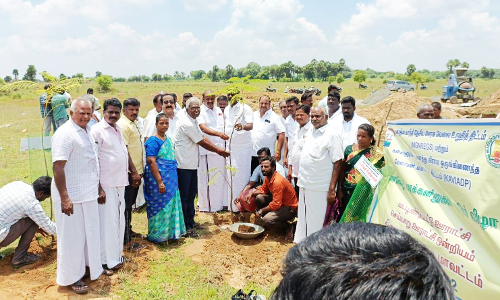 திருவண்ணாமலை மாவட்டத்தில் ஒரே நாளில் 3½ லட்சம் மரக்கன்றுகள் நடும் பணி