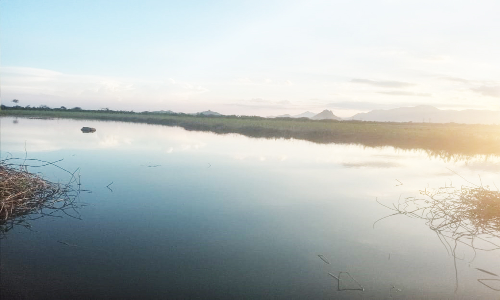 முருகாபாடி பெரிய ஏரி மதகு ஓட்டையால் வீணாகும் தண்ணீர்