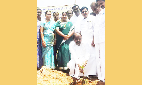 நடப்பட்ட மரக்கன்றுகளை பாதுகாக்க வேண்டும்