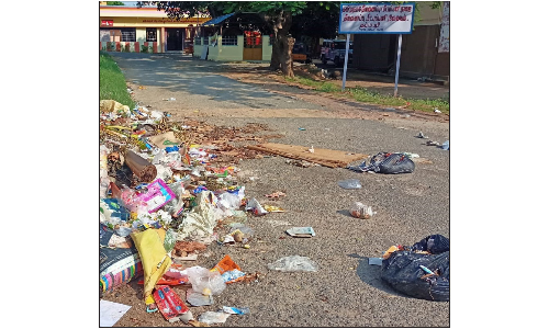 அரசு அலுவலகங்களுக்கு செல்லும் முக்கிய சாலையின் முகப்பில்   குப்பைகளை கொட்டுவதால் நோய் தொற்று பரவும் அபாயம்