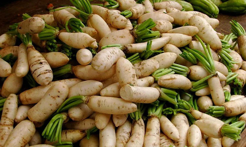 கிருஷ்ணகிரி மாவட்டத்தில்  முள்ளங்கி விலை கடும் வீழ்ச்சி   -விவசாயிகள் கவலை