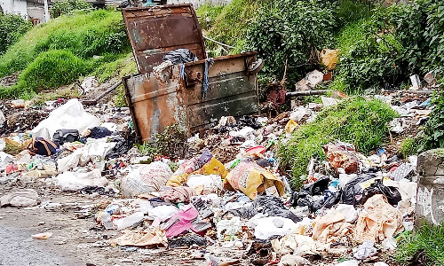 கொடைக்கானலில் அகற்றப்படாத குப்பையால் சுகாதார சீர்கேடு