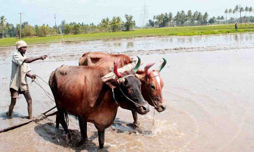 ஒருங்கிணைந்த பண்ணையம் திட்டம் - விவசாயிகளுக்கு அழைப்பு