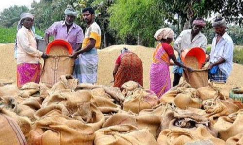 அரசின் நேரடி நெல் கொள்முதல் நிலையம் அமைக்க வேண்டும்