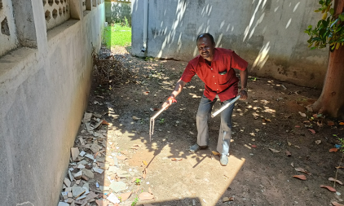 ஆலங்குடி மருத்துவமனையில் பாம்புகள் தொல்லை