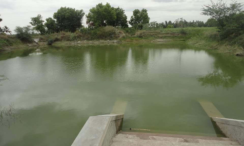 கிருஷ்ணகிரி அருகே 3 ஆண்டுகளுக்கு பிறகு  தொடர் மழையால் நிரம்பிய படேதாள ஏரி