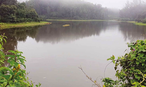 10 ஆண்டுகளுக்கு பின்னர் மார்லிமந்து அணை நிரம்பியது