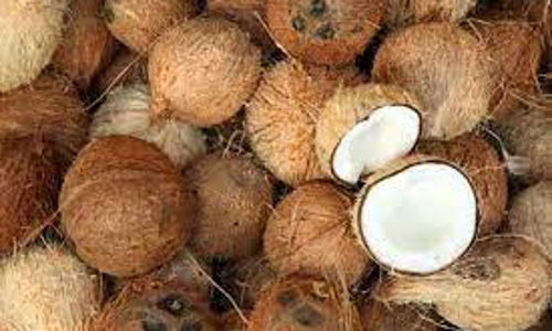 கொப்பரை தேங்காய் ஏலம் விலை குறைவால் விவசாயிகள் கவலை