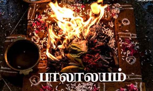 வரதராஜ பெருமாள் கோவில் பாலாலயம்