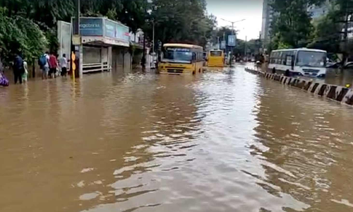 மழைநீர் தேங்கிய சாலையில் நிலைதடுமாறிய ஸ்கூட்டி... மின்கம்பத்தை பிடித்த பெண்ணுக்கு நேர்ந்த பயங்கரம்