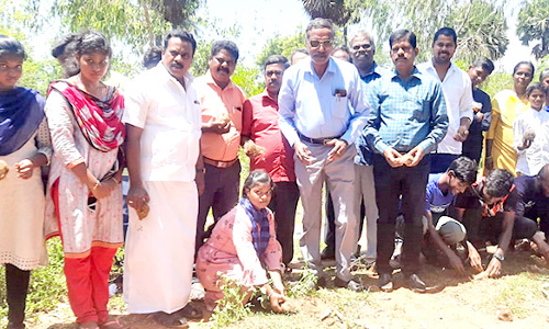 பனை விதைகள் விதைக்கும் பணி