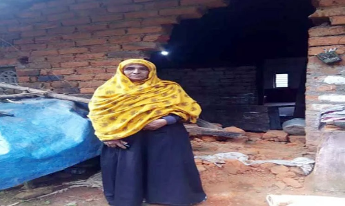 வீட்டு சுவரை இடித்து யானைகள் அட்டகாசம்