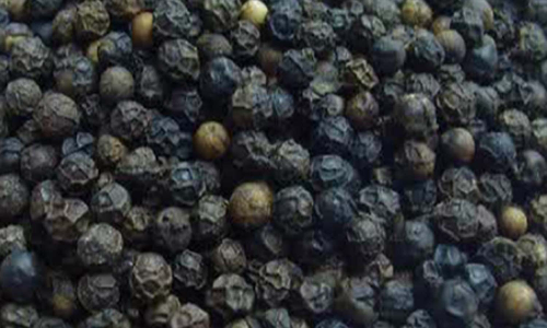 தமிழரின் பாரம்பரிய சமையல்