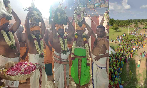 அல்லாளபுரம் உலகேஸ்வரர் கோவில் கும்பாபிஷேக விழாவில் முளைப்பாரி ஊர்வலம்