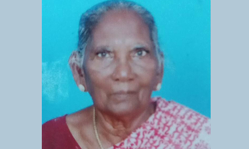 சோழவரம் அருகே 102 வயது மூதாட்டி மரணம்