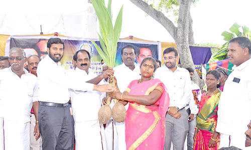 பயனாளிகளுக்கு தென்னங்கன்று வழங்கல்