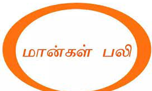 அடையாளம் தெரியாத வாகனங்கள் மோதி 2 மான்கள் பலி