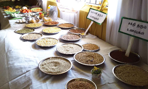 சோளிங்கரில் ஊட்ட சத்து மாத விழா